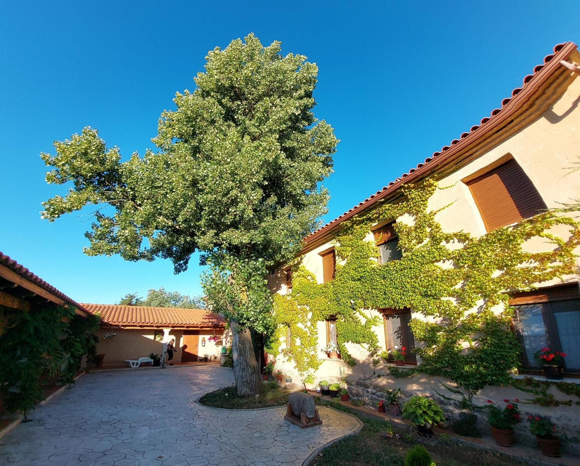 זמורה Casa Atenea מראה חיצוני תמונה